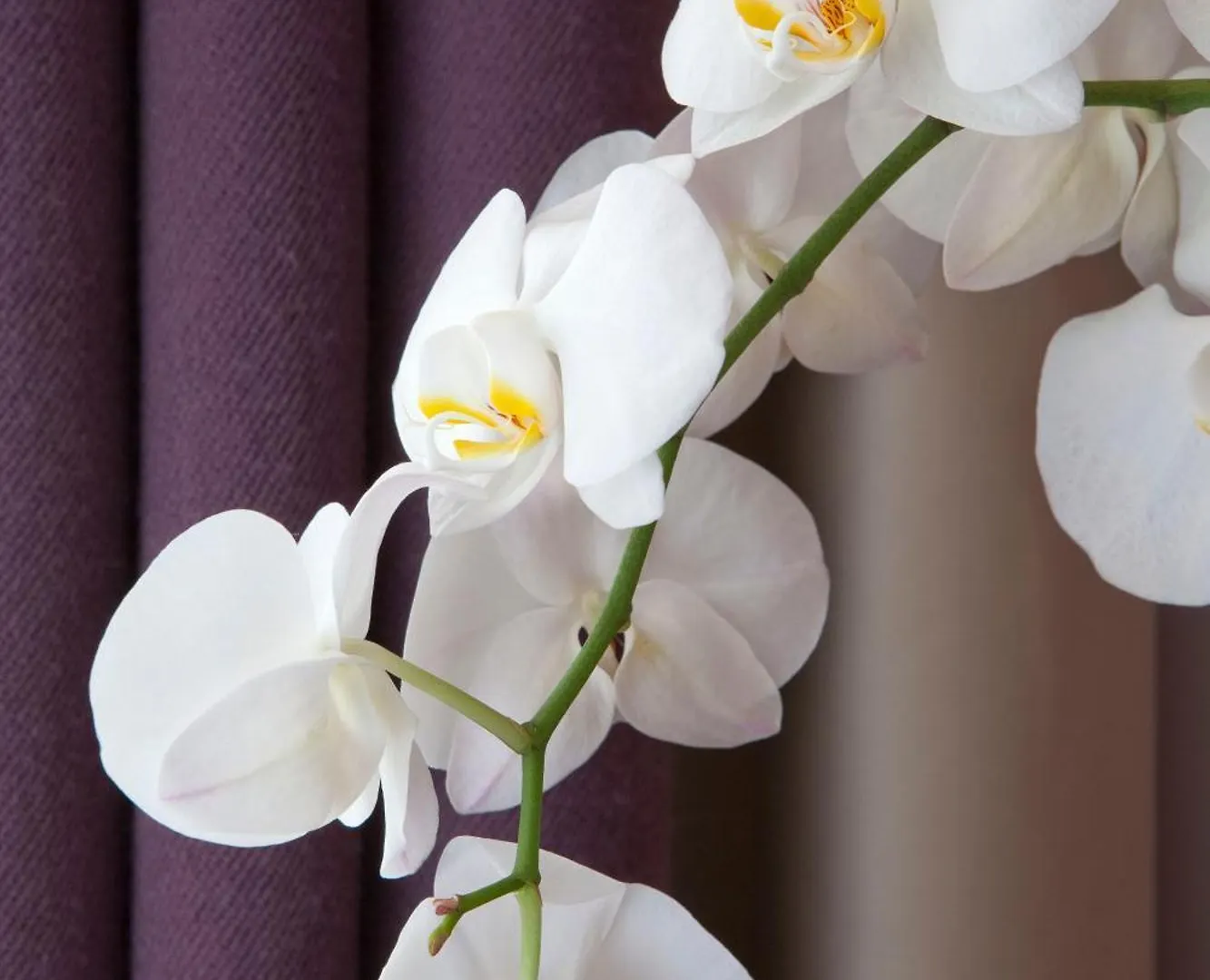 Hotel Duret Paris Champs Elysees